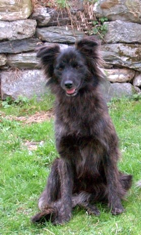 Youna de de la Vallée du Mouton