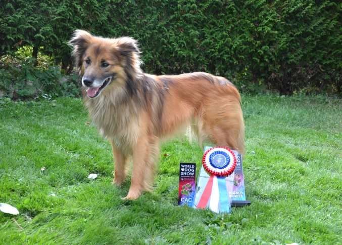 Champion du Monde 2018